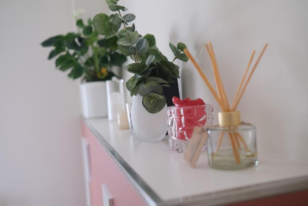 Ferienwohnung Arendsee 아렌트제 외부 사진